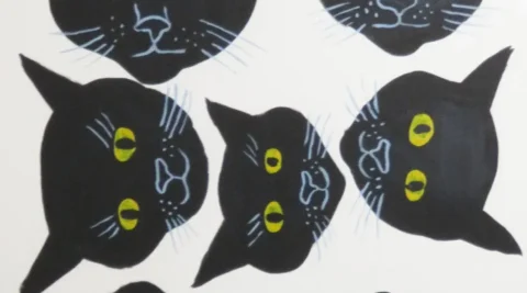 Black Cats Everywhere