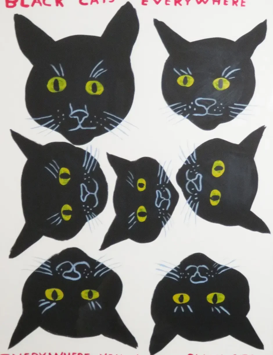 Black Cats Everywhere