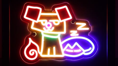 Gunzo-zu neon 248