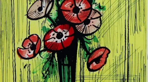 Anemone