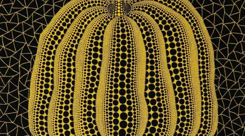 A PUMPKIN（Y）