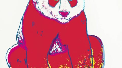 GIANT PANDA「ENDANGERED SPECIES」