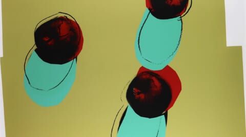 APPLES「SPACE FRUIT：STILL LIFES」