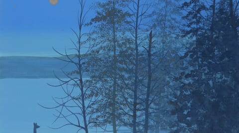 Lakeside in the Moon