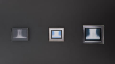 Hiroshi Senju Online Exclusive Exhibition